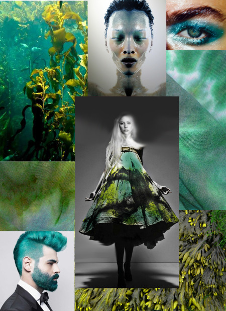 lucia seaweed chorus collage1.jpg